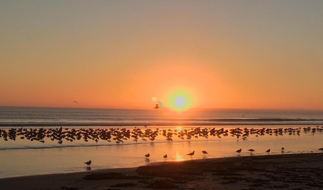 Organic Beach Retreat Daytona Beach Luaran gambar